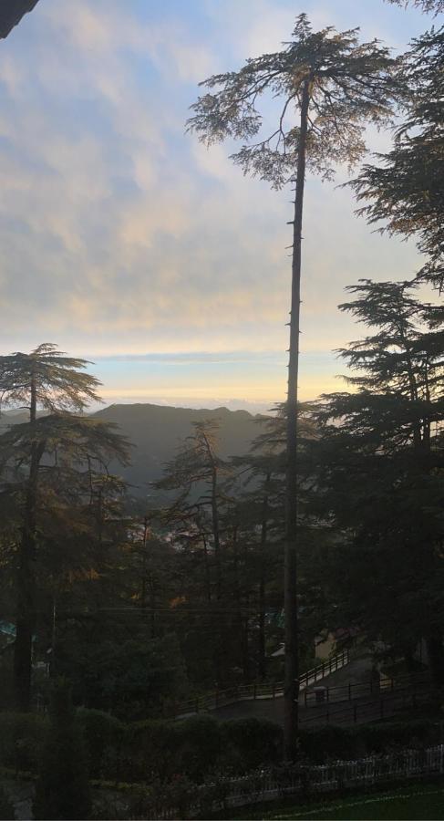 Bed and Breakfast The Edgeworth Shimla Zewnętrze zdjęcie